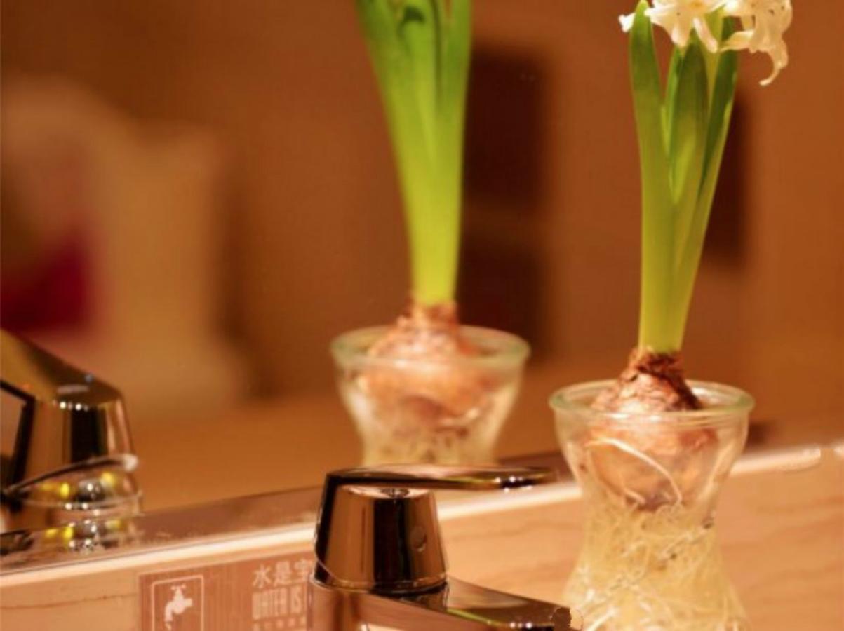 Greentree Inn Beijing Dongcheng District Wangfujin South Luogu Lane Houhai Express Hotel Esterno foto